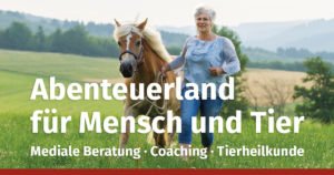 Bruehl Coaching Tierheilkunde